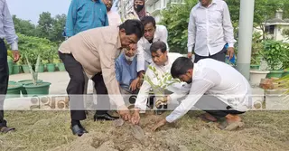টাঙ্গাইলে ‘সবুজ পৃথিবী’র উদ্যোগে বৃক্ষরোপণ কর্মসূচির উদ্বোধন